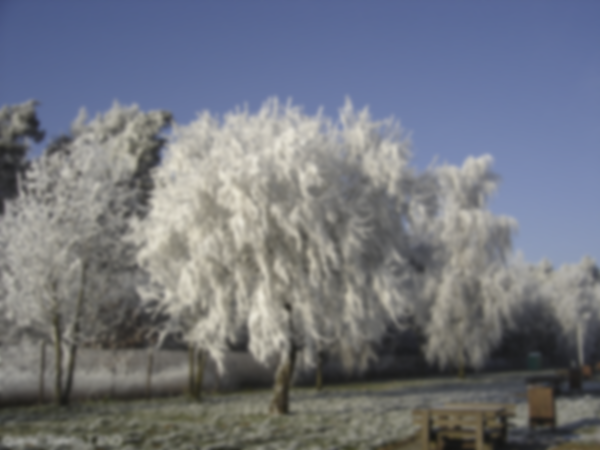 Blurred Winter Landscape Example