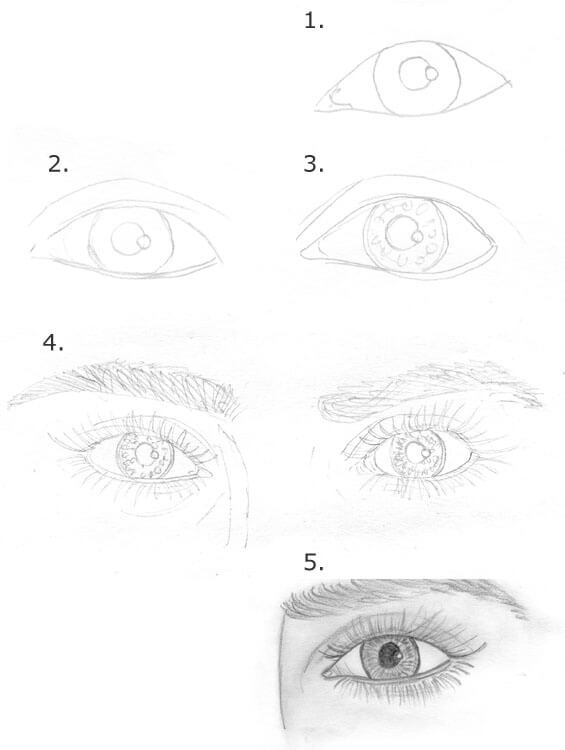 Kopf Und Gesicht Zeichnen Lernen So Zeichnest Du Augen Nase Mund