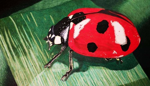 Marienkäfer mit Prismacolor Buntstiften malen