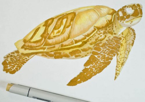 Meeresschildkröte malen mit Stylefile Brushmarker