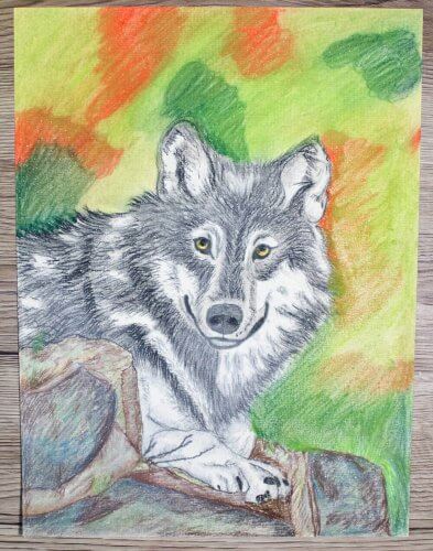 Wölfe und Wildhunde: Pastellmalerei
