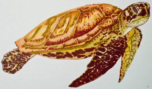 Meeresschildkröte malen mit Brushmarker