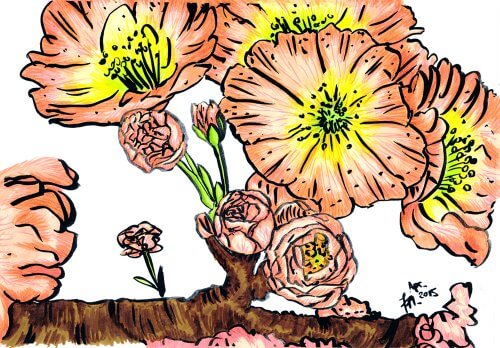Kirschblüte zeichnen - Kolorierung mit PITT Artist Pen