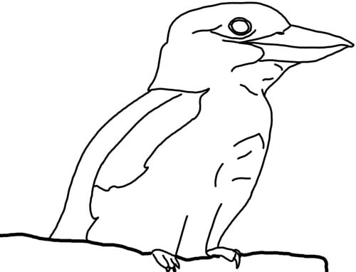 Eisvogel Zeichnen