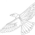 Skizze fliegender Vogel - Ansicht von oben nach unten