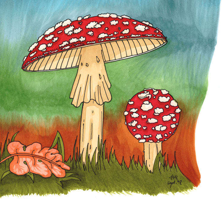 Marker coloring: toadstools