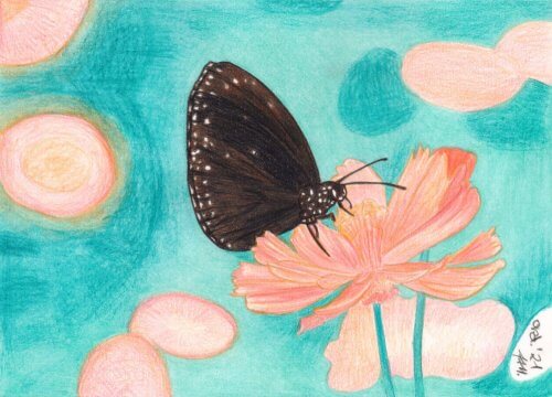 Dibujo a lápiz de color Mariposa sobre flor