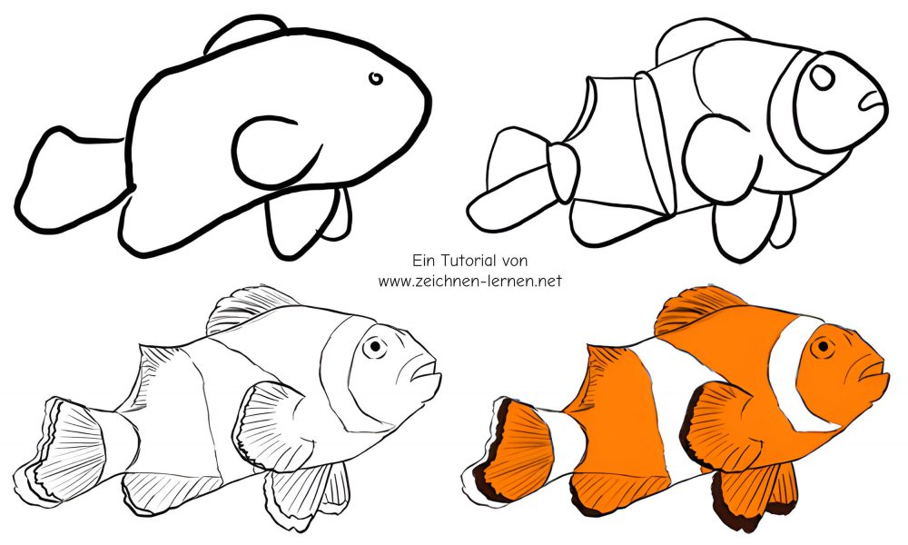 Clownfish drawing tutorial