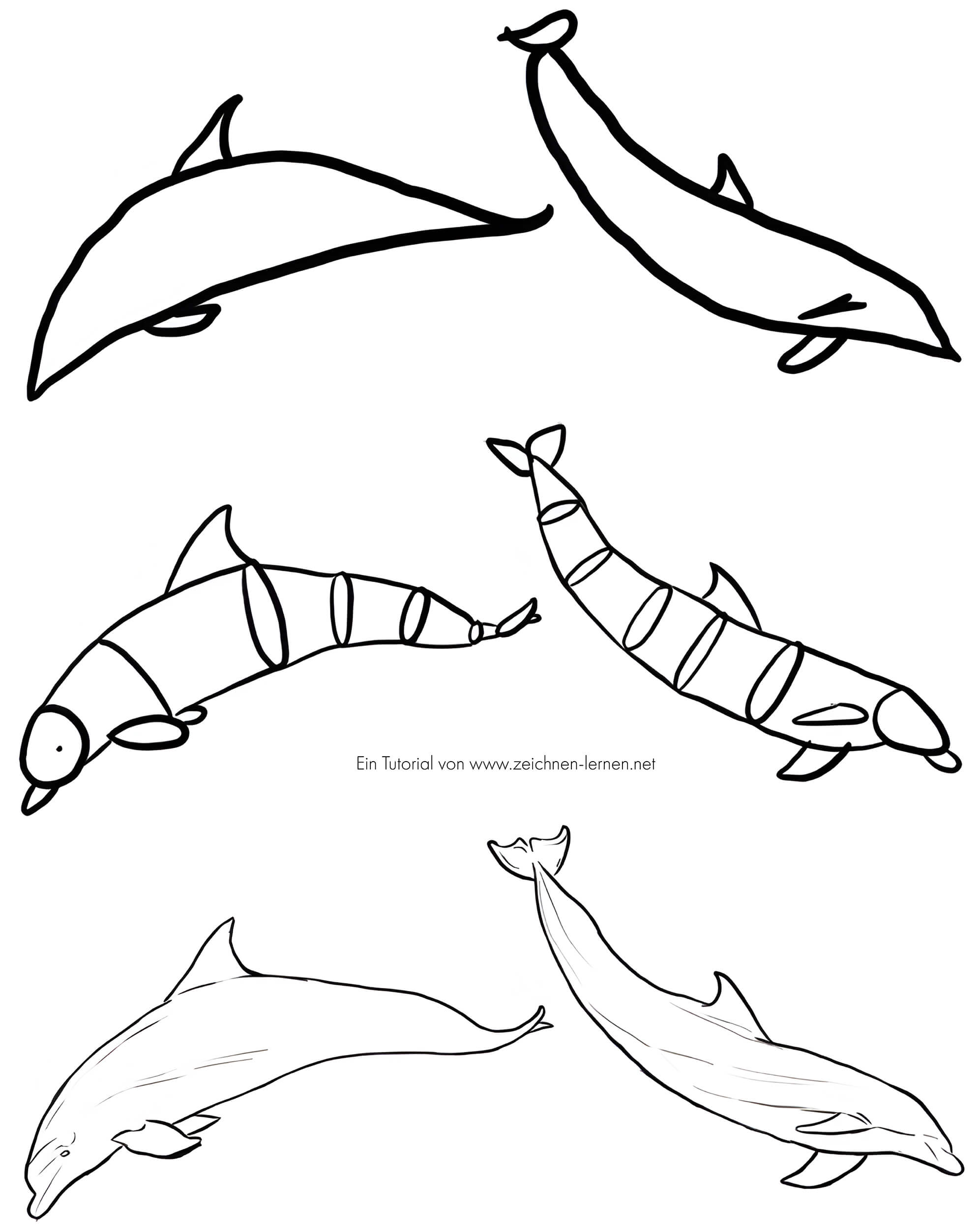 Drawing Two Dolphins Underwater