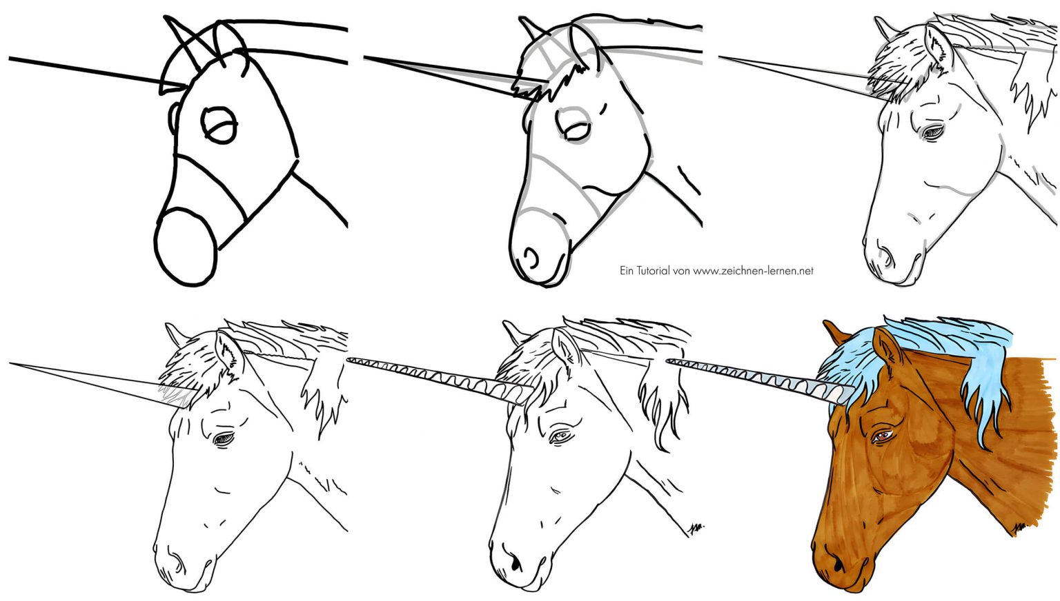  Einhörner und Zentauren zeichnen lernen Schritt für Schritt Illustration 