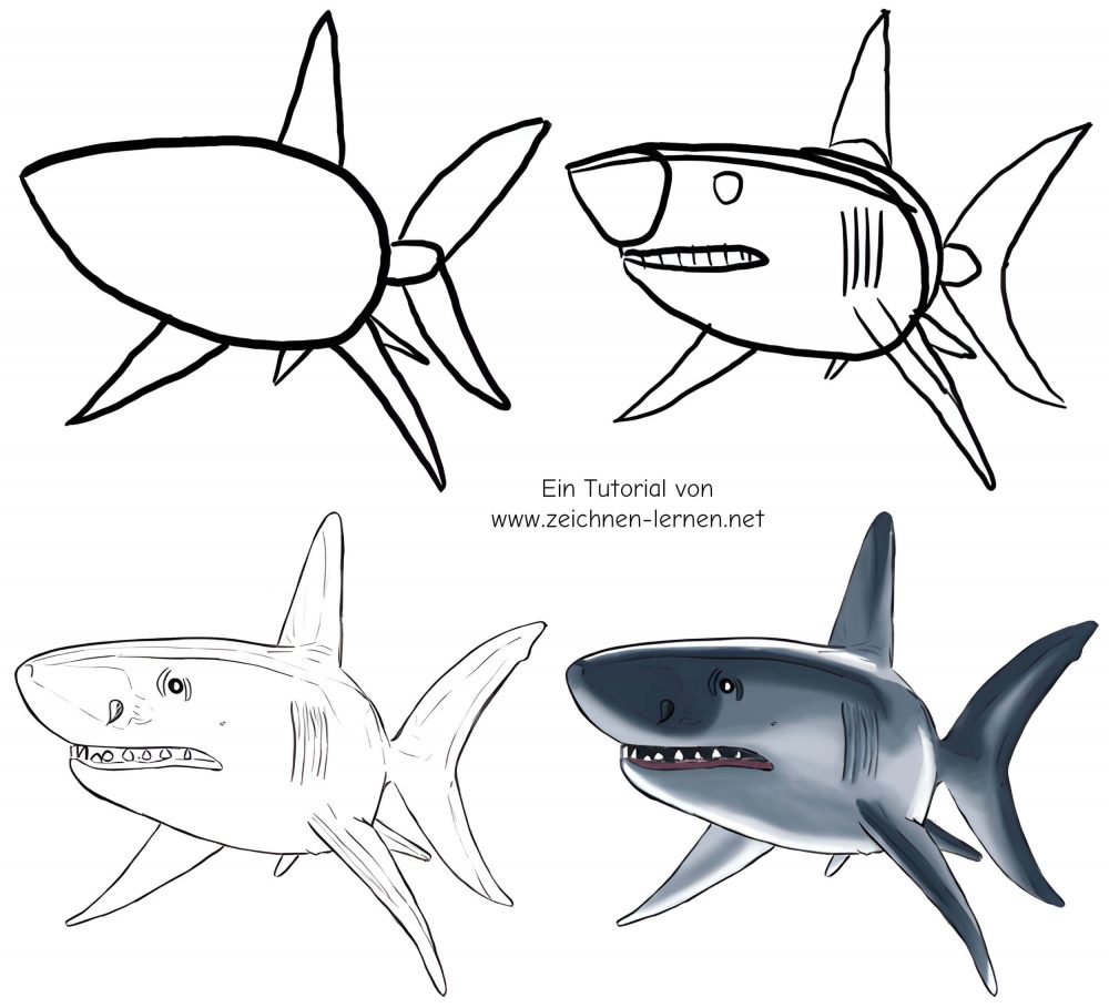 Drawing sharks step by step up to coloring