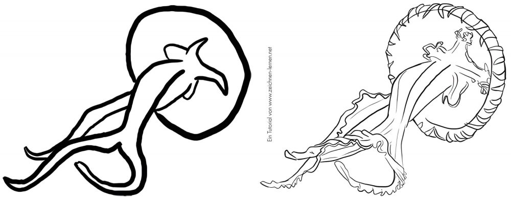 Tutorial de dibujo de medusa larga: boceto básico, formas básicas y dibujo