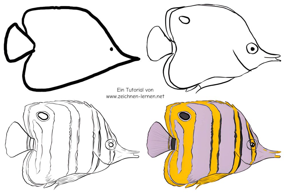Draw tweezer fish step by step