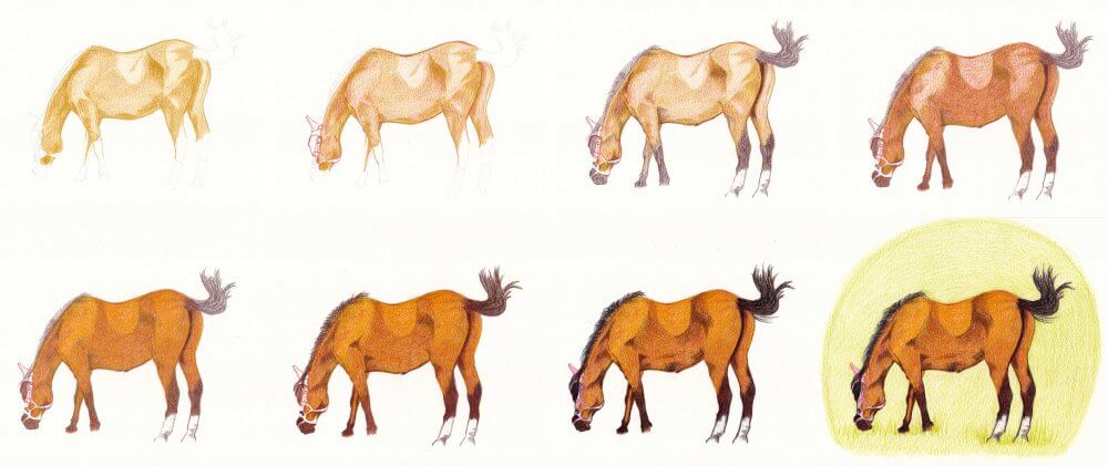 Step-by-step guide to drawing and painting a horse