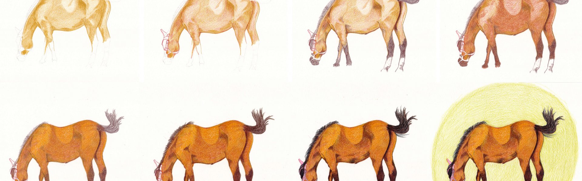 Pferd zeichnen und malen Schritt für Schritt