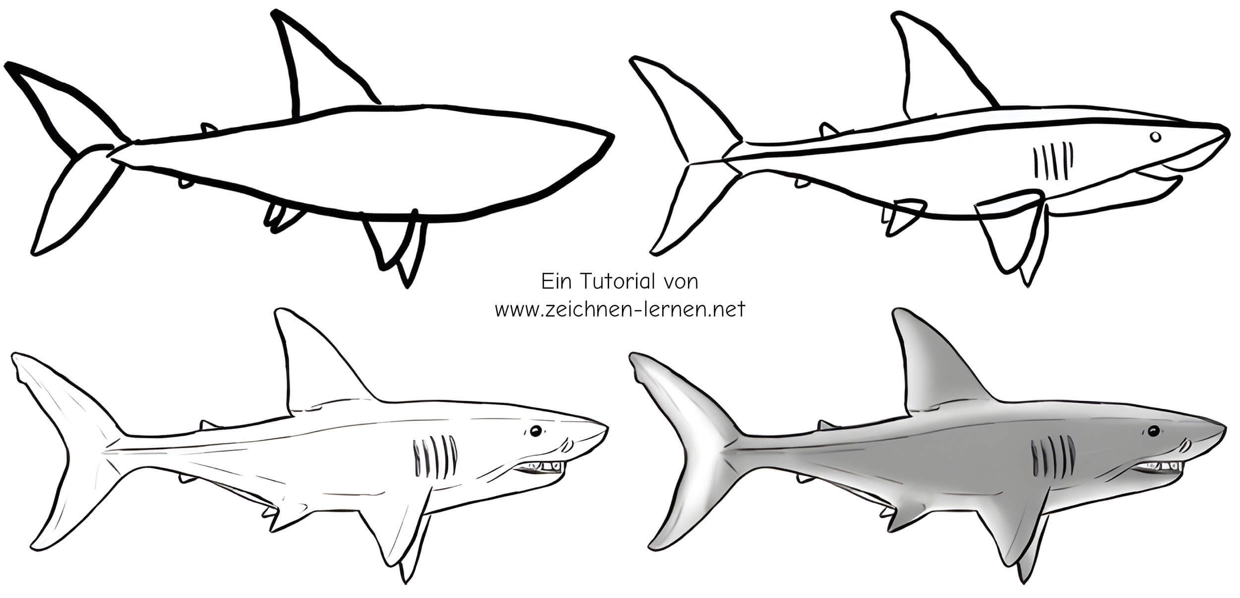 Schwimmenden Haifisch von der Seite zeichnen