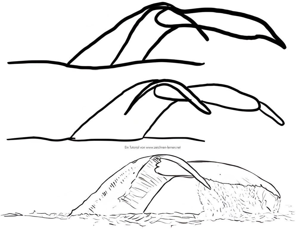 Dibujar aleta de ballena / cola