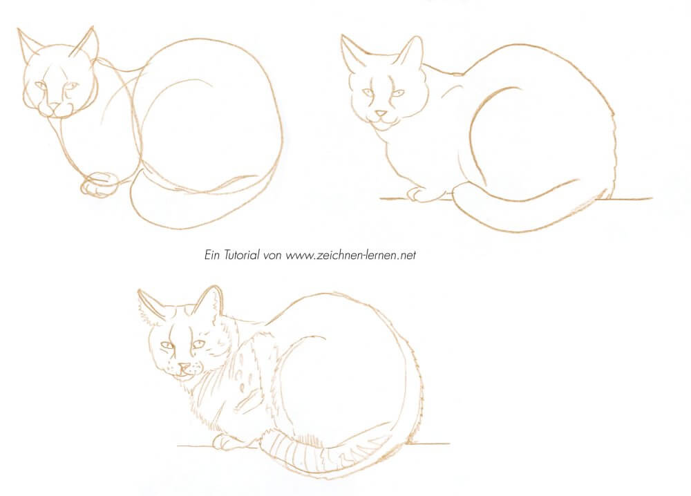 Sitzende Katze zeichnen lernen Tutorial