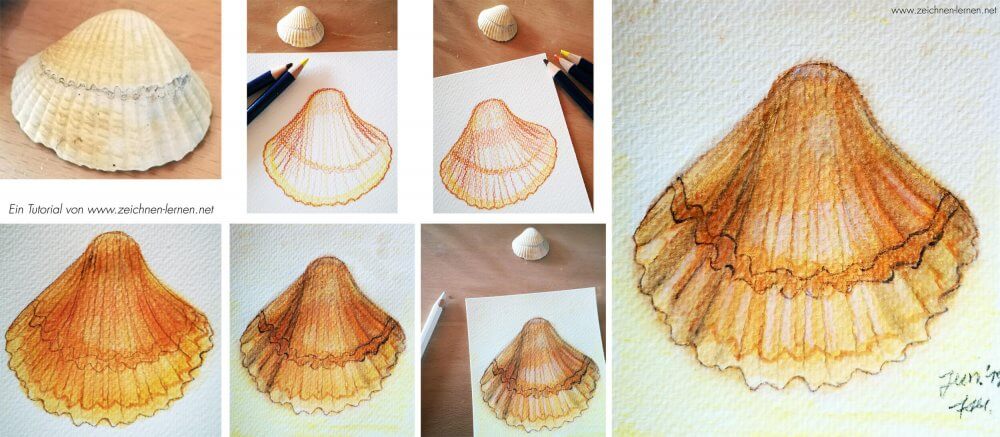 Painting a Shell with Watercolor Pencils