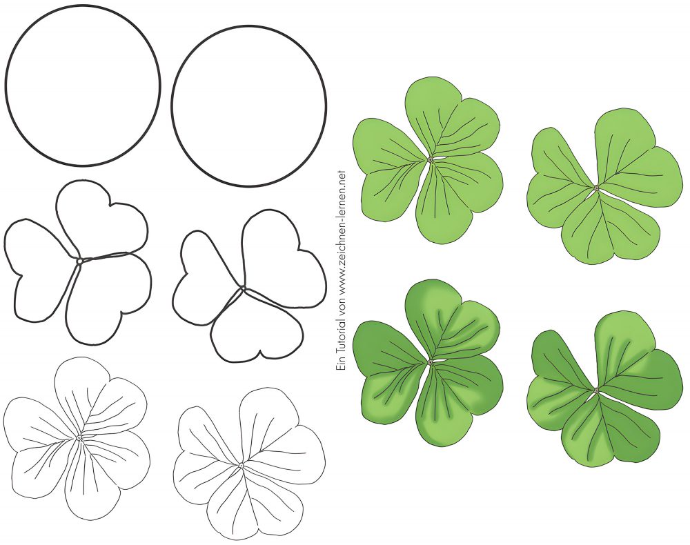 Pflanzen zeichnen: Kleeblatt Anleitung