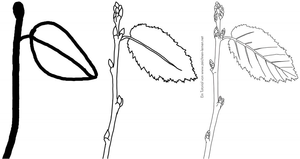 Baum-Sprössling Zeichentutorial