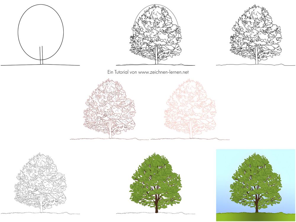 Baum zeichnen Tutorial Schritt für Schritt Tutorial