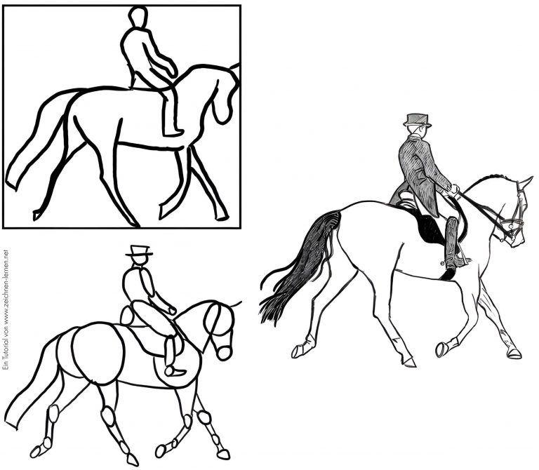 Pferde und Fohlen zeichnen lernen Schritt für Schritt