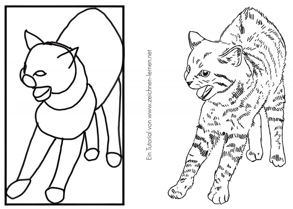 Fauchende Katze zeichnen