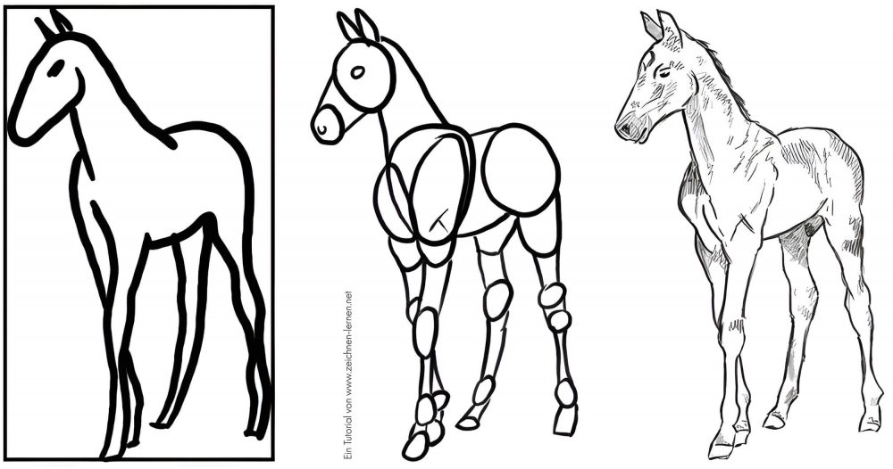 Foal drawing tutorial