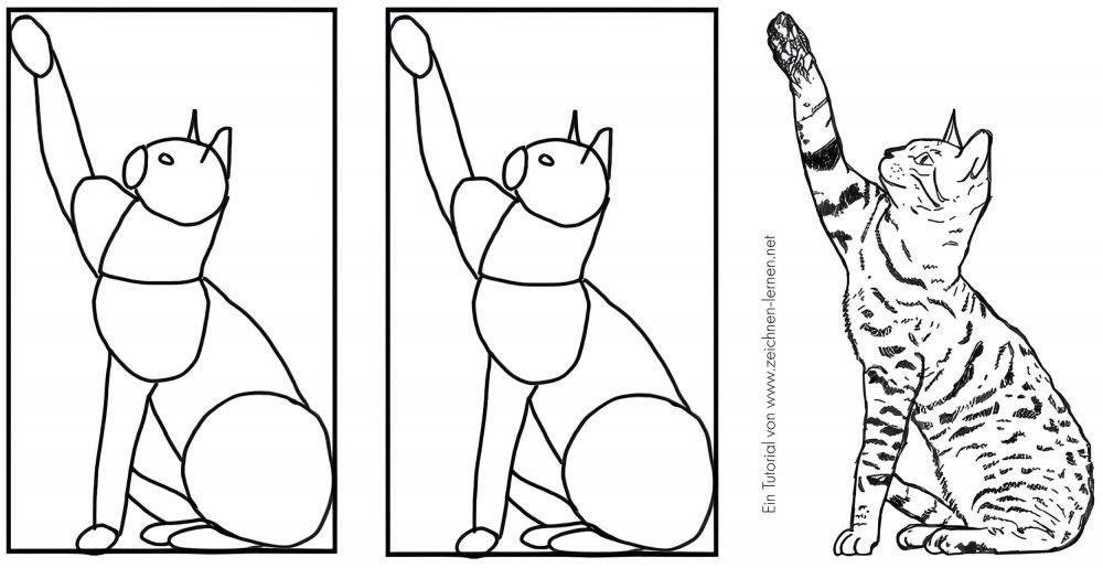 Katze greift - Skizze zur Zeichnung