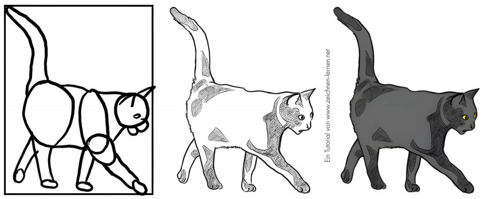 Katze von der Seite zeichnen - Skizze bis zur Zeichnung