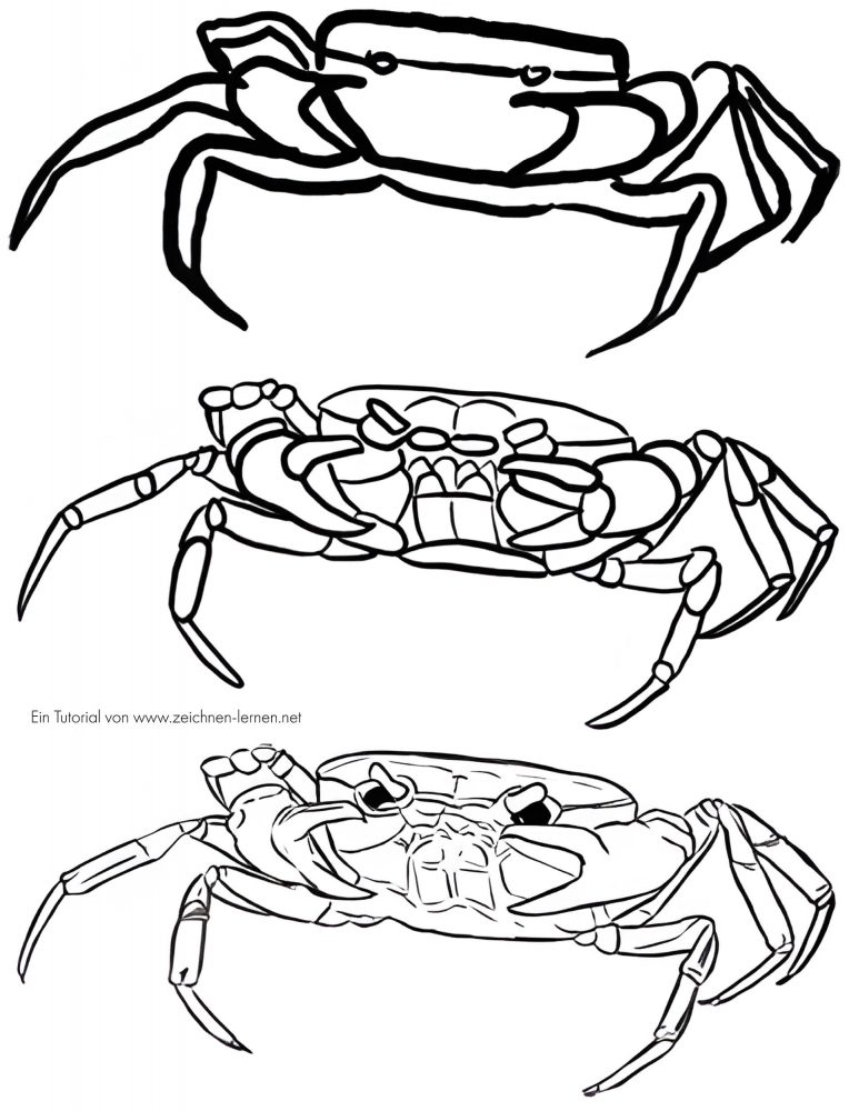 Crab Tutorial