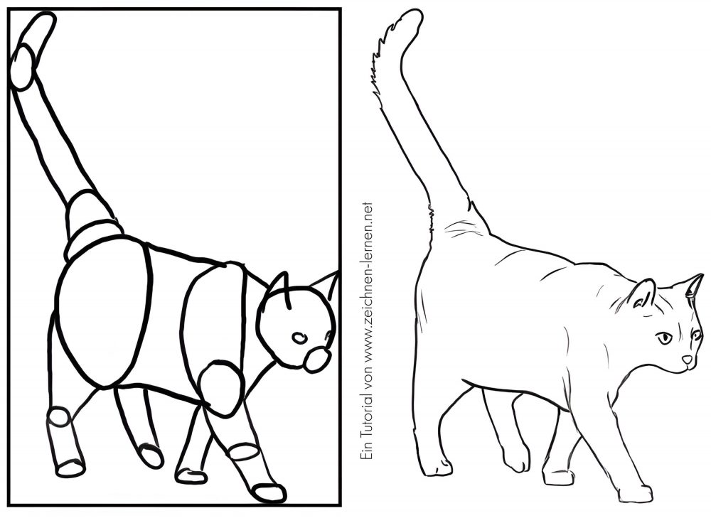 Laufende Katze Schrägansicht - Von der Grundform zur Zeichnung