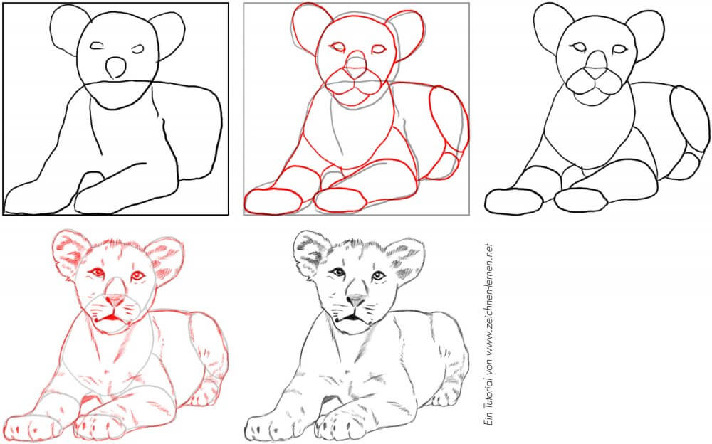 Löwenbaby zeichnen lernen Tutorial