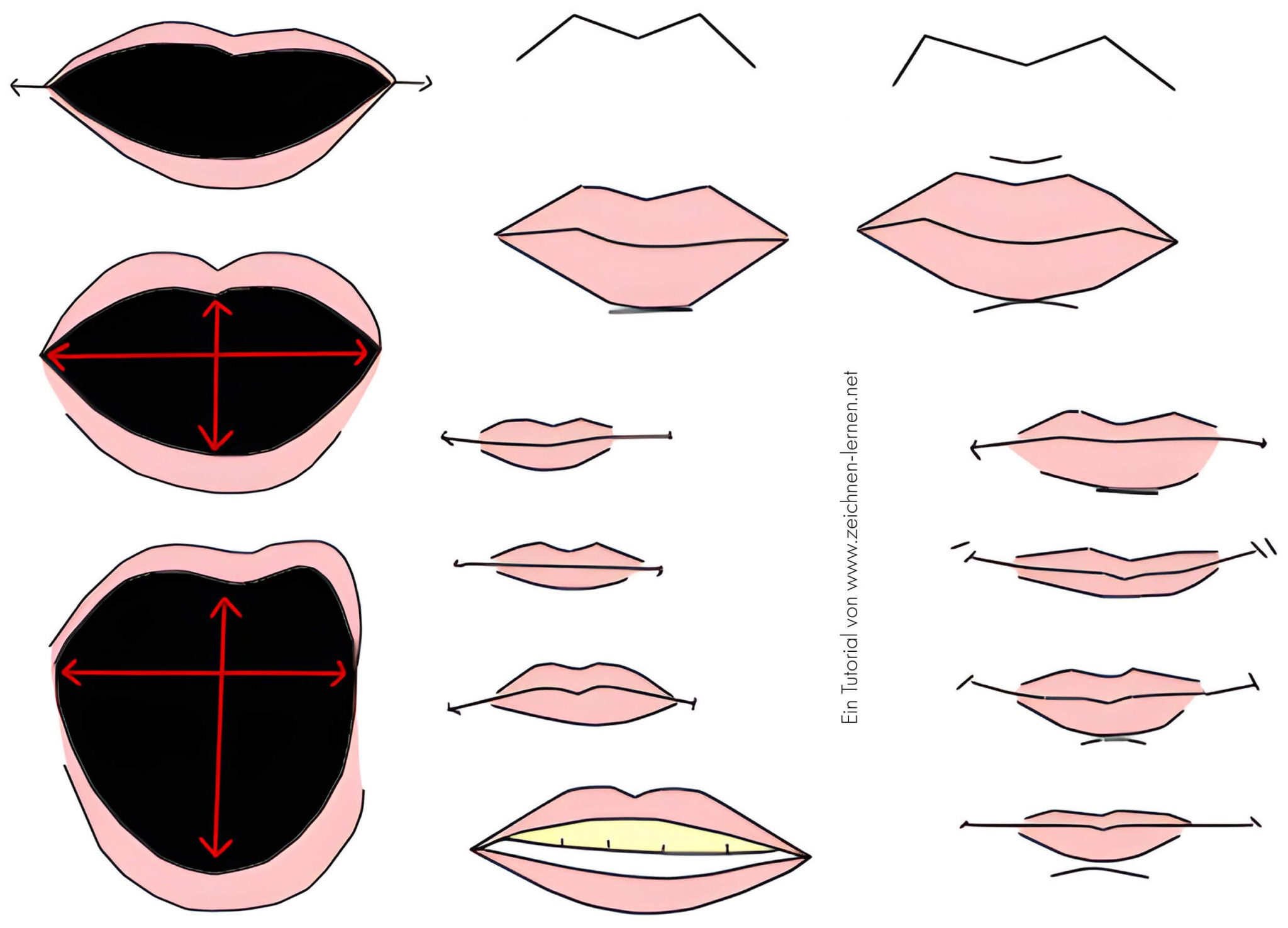 Aprende a dibujar una boca - paso a paso hacia una boca real