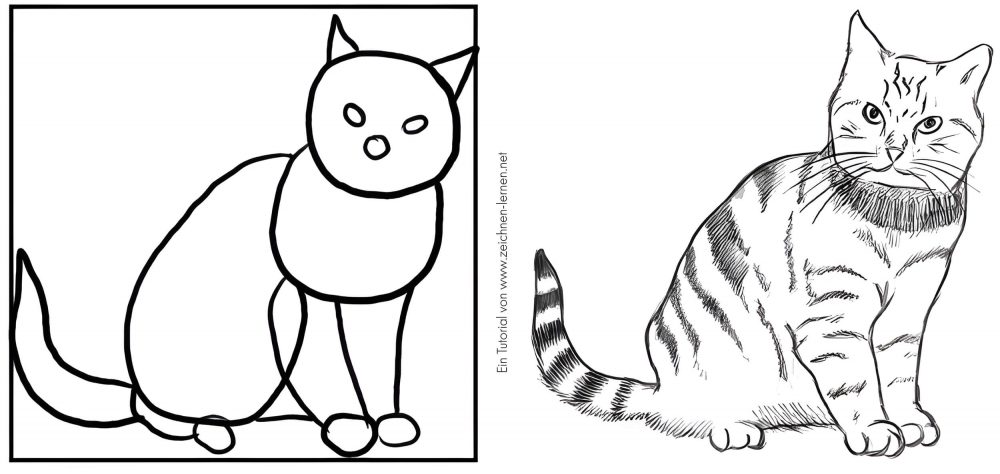Sitzende Katze zeichnen