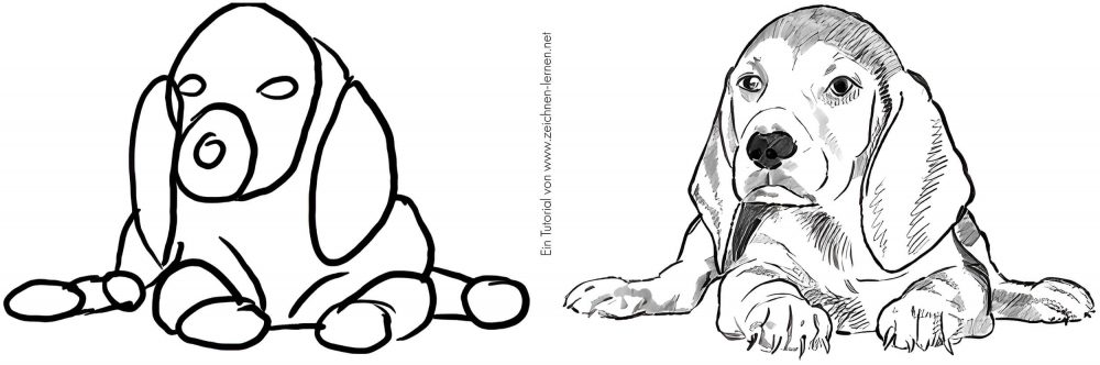 Liegender Beagle zeichnen Tutorials