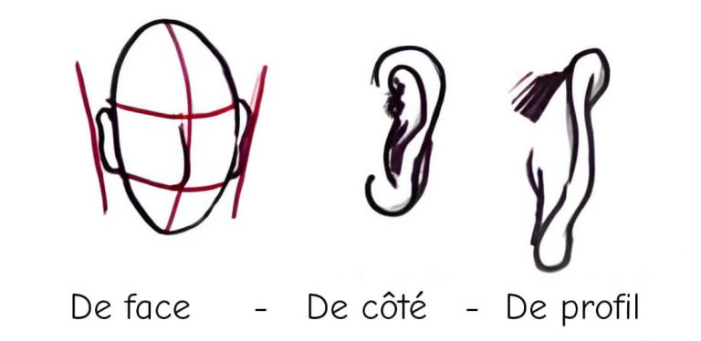 Apprendre à dessiner la tête et le visage - yeux, nez & bouche