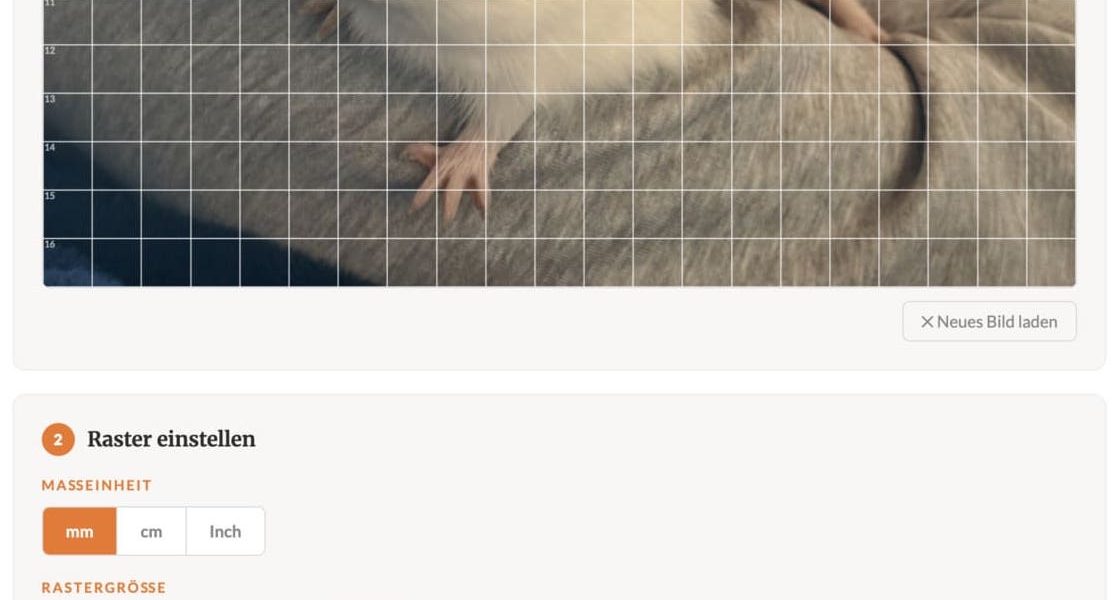 Raster-Tool zum Zeichnenlernen in Benutzung