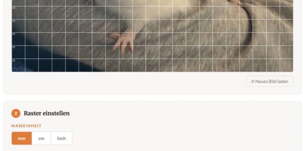 Raster-Tool zum Zeichnenlernen in Benutzung
