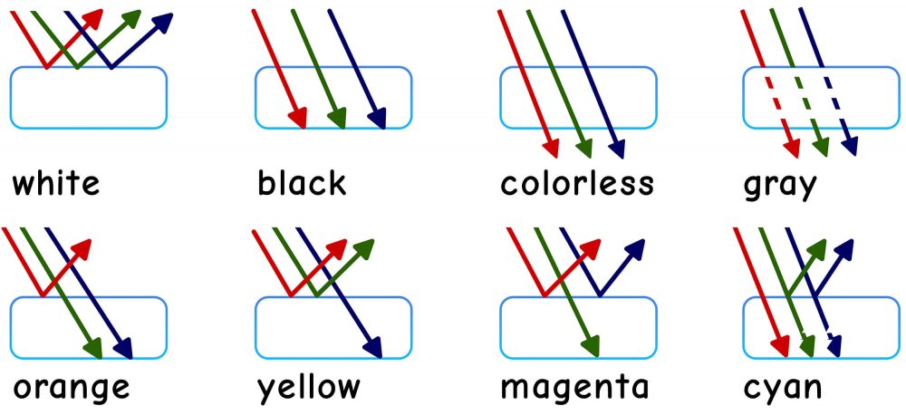 What colors from the light must be reflected so that we can see which and color?