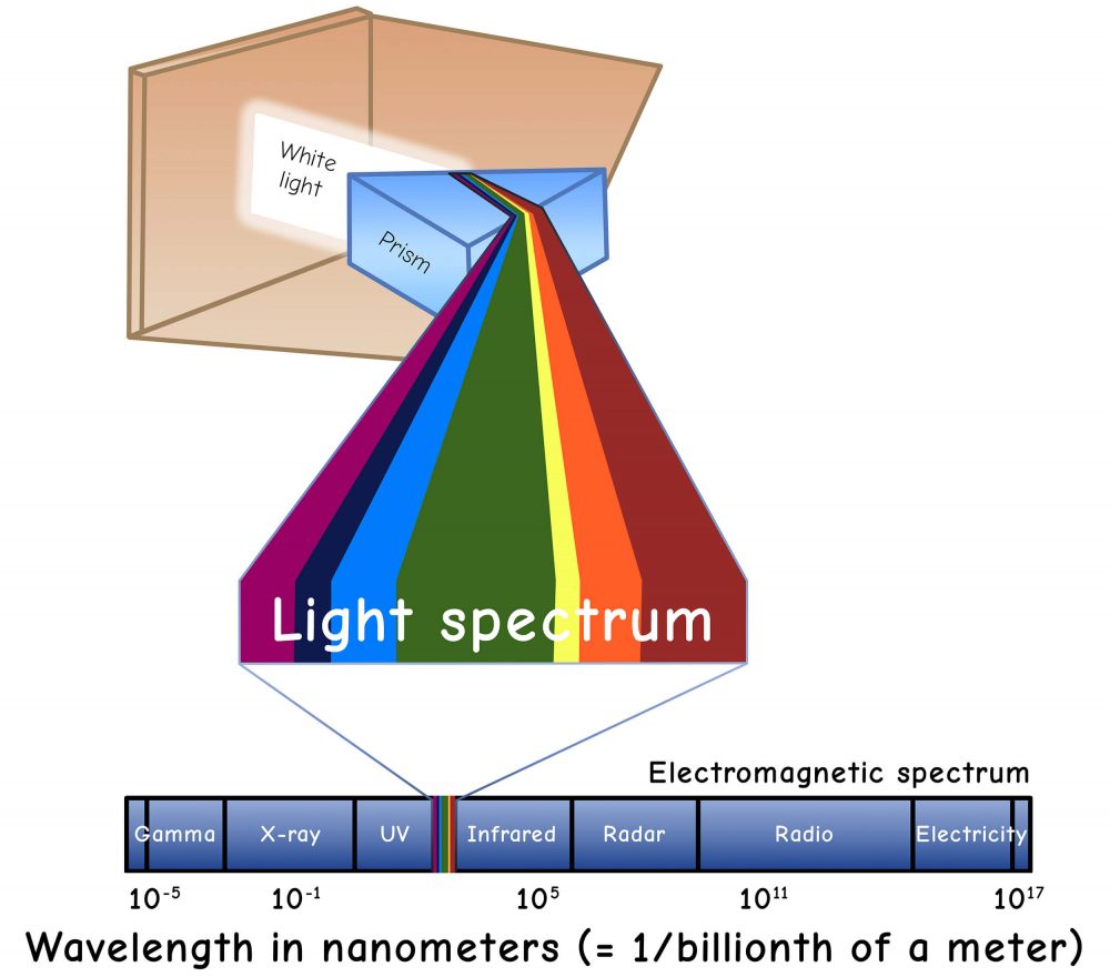 The light spectrum contains all colors visible to humans