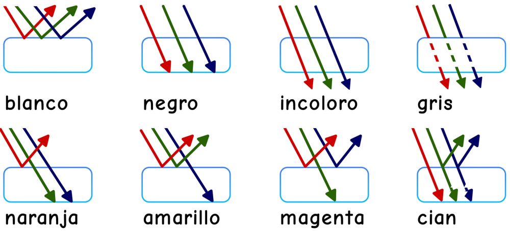 Reflexión de la luz y visión de los colores