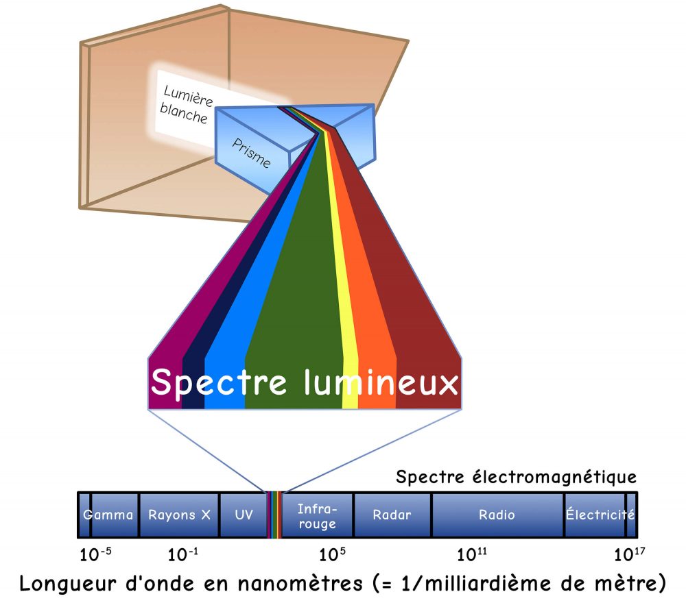 Le spectre lumineux contient toutes les couleurs visibles par l'homme