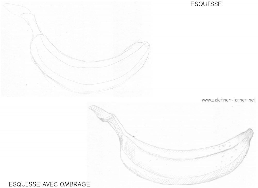 Ombrer l'esquisse au crayon à l'aide de hachures linéaires