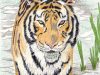 Tiger Buntstiftkolorierung
