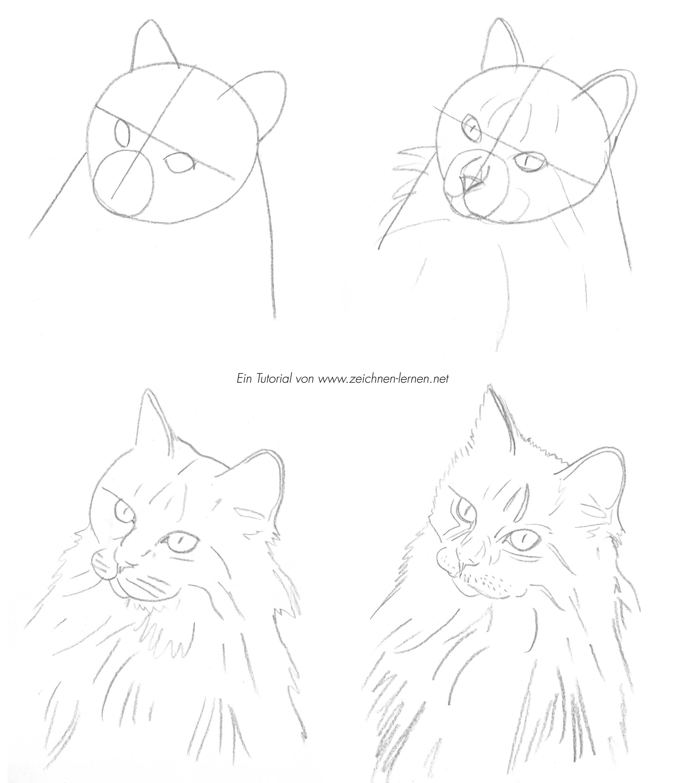 EINFACH & SCHNELL - Katzenauge zeichnen mit Buntstift - Zeichnen für  Anfänger - Echtzeit Tutorial 